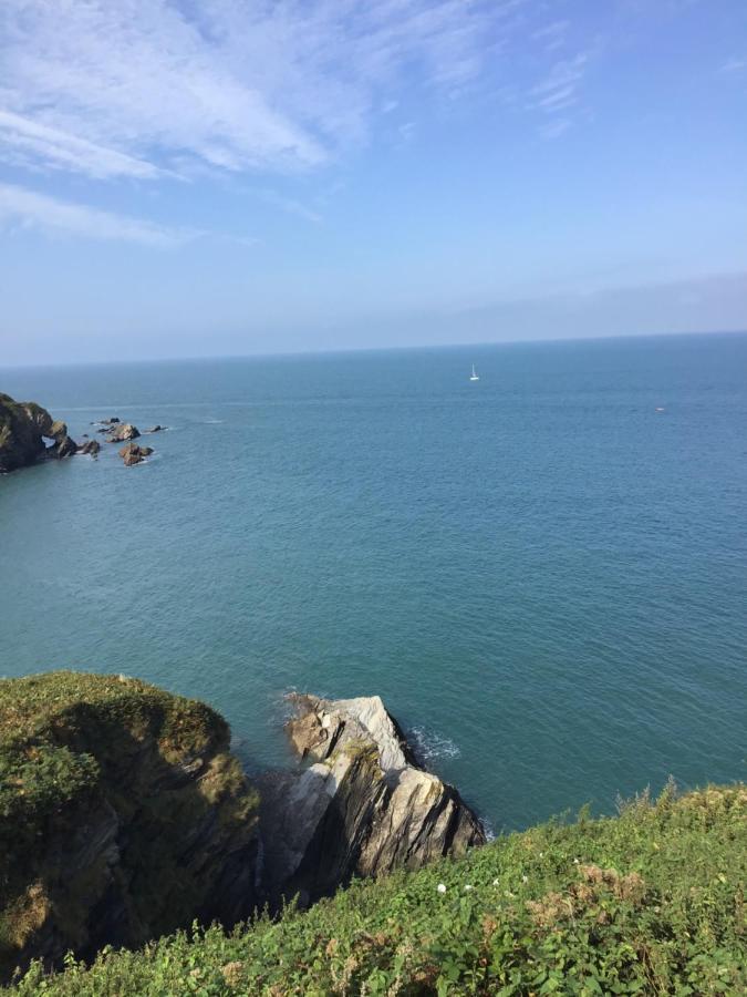 Peaceful Paradise * Ilfracombe